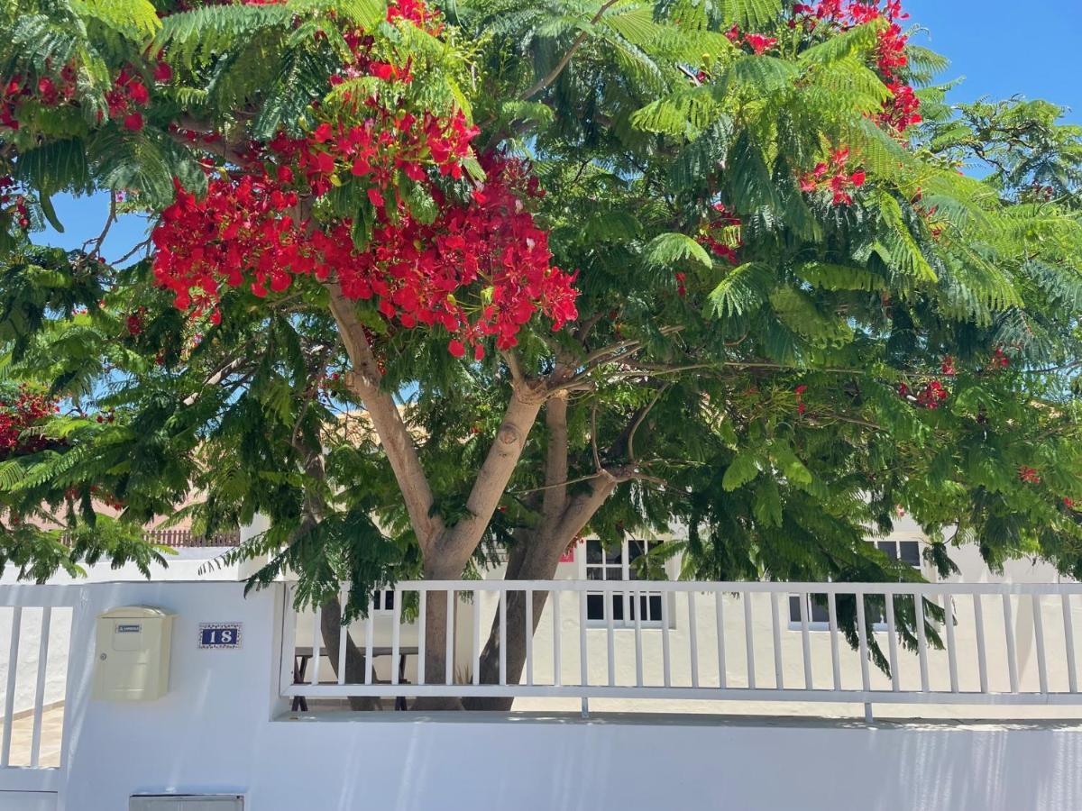 Casa Enamorado Tarajalejo Bagian luar foto